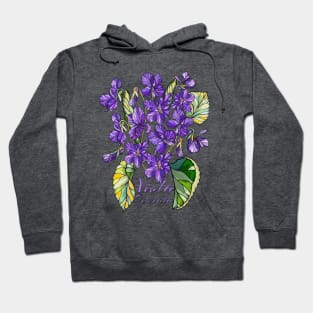 Violets - Vintage bouquet of spring flowers Hoodie